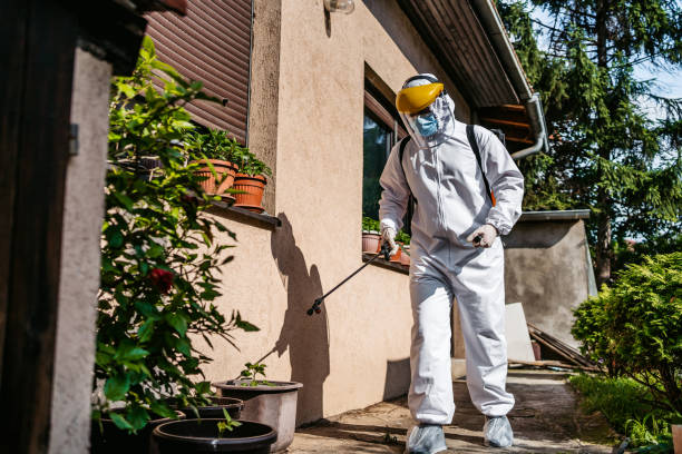 Best Rat Extermination Near Me  in Brookston, IN
