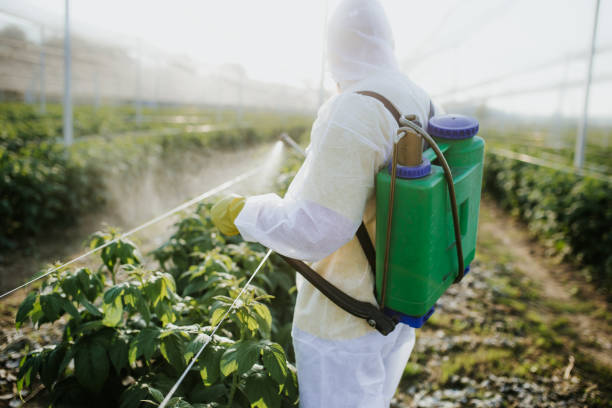 Best Cockroach Control Services  in Brookston, IN